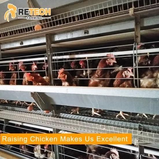 H Type 4 Tiers Chicken Layer Cage Poultry Farms