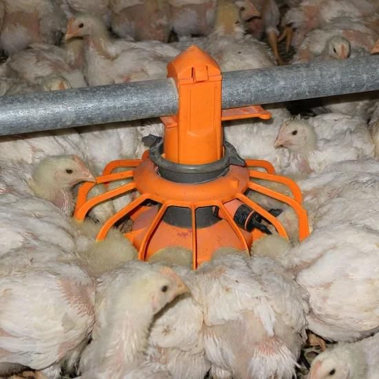 Wholesale Alibaba Automatic Broiler Pan Feeder for Poultry Farm