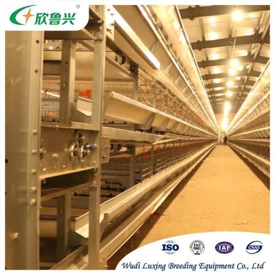 Poultry Farm Fully Automatic Hen Cage Egg Chicken Cage Battery Layer Chicken Cage