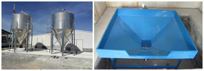 Automatic Poultry Farm Feeder and Drinker Chicken Feeding Equipment