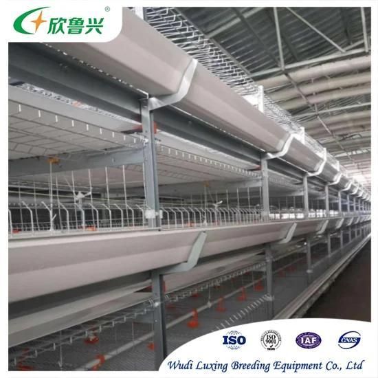 High Quality Automatic Feeding Chicken Equipment Modern Broiler Cages for Sale
