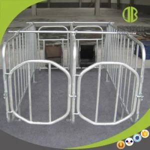 Pig Farm Equipment Gestation Stall for Sows
