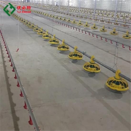 Automatic Modern Chicken Poultry Farm Equipment for Broiler House Floor Ground