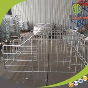 High Recommended Pig Equipment Gestation Stall for Sales