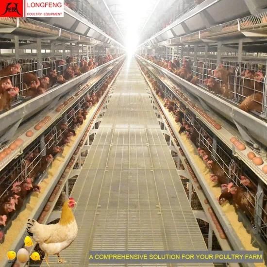 Longfeng Automatic Computerized Dosing Medicine and Spray Disinfection Poultry Chicken ...