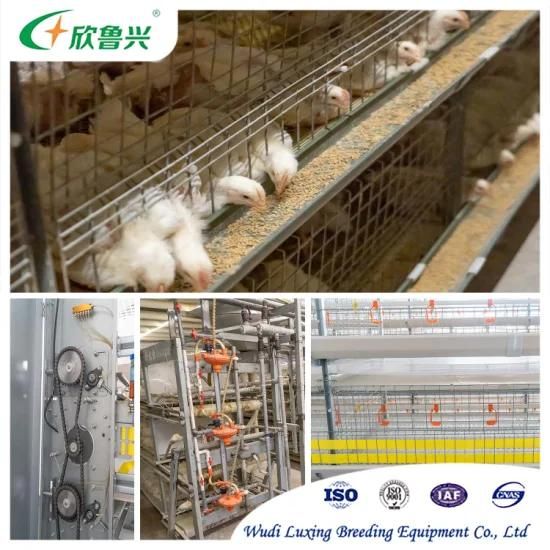Modern Design Broiler Poultry Farming Equipment Hot Galvanized Automatic Battery Chicken ...