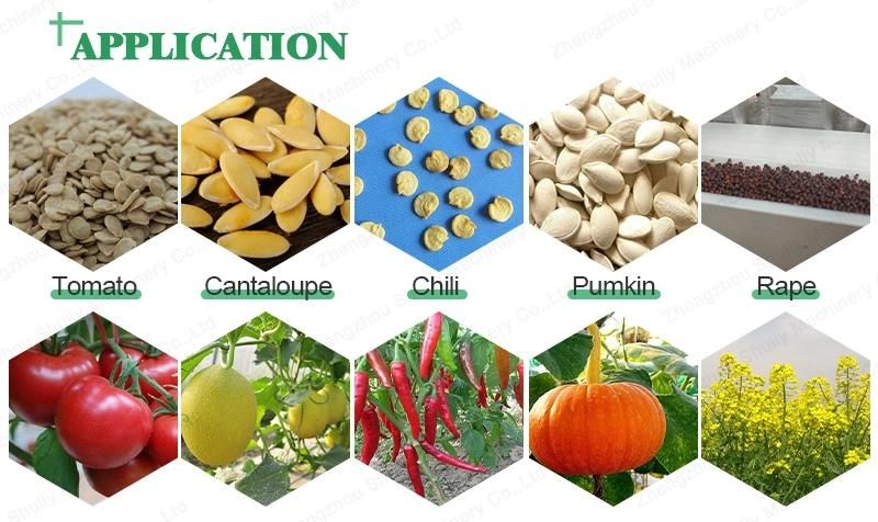 Onion Celery Cucumber Lettuce Flower Seeds Sowing Machine for Seedling Tray Seeder
