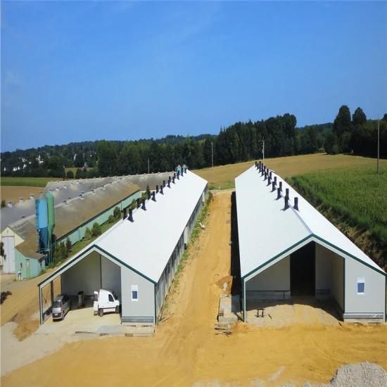 Best Quality Factory Price Prefab/Prefabricated Steel Poultry Farm Equipment