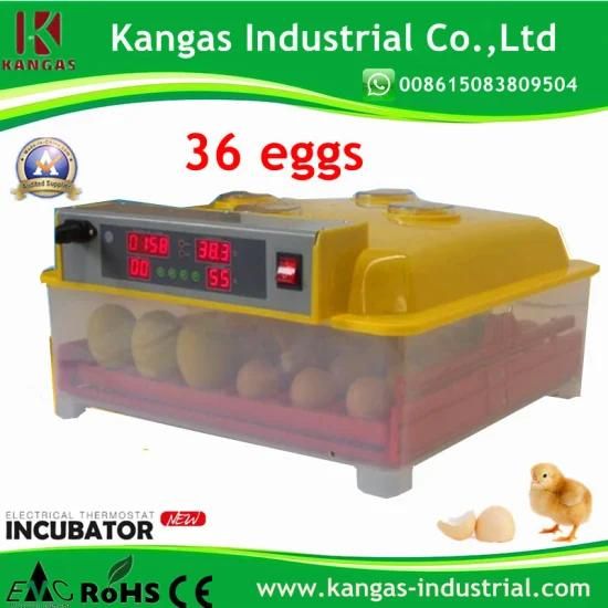 Holding 36 Eggs Digital Poultry Egg Incubator