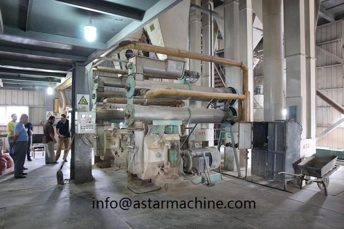 Small Animal Poultry Cattle Feed Pelletizer Equipment