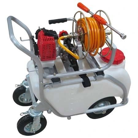 Trolley Gasoline Engine Power Sprayer, Garden Power Sprayer with CE (TF-650R)