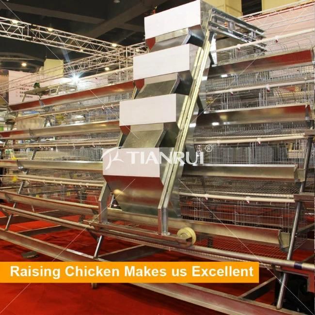 A Type High Quality Automatic Chicken Cage For Fowl