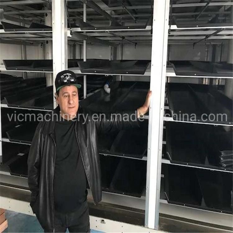 Customized Hydroponic Bean Sprouts Growing System With 500kg/d