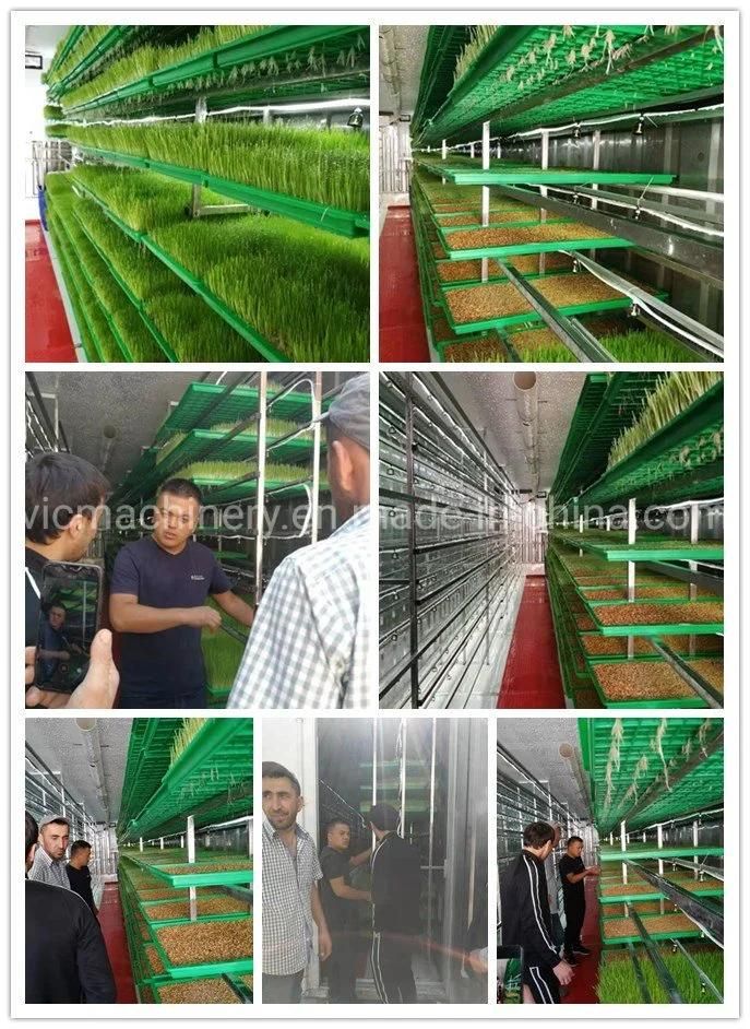 Hydroponic Pasture Forage Fodder Growing Machine With Ozone Mahince