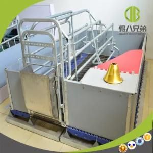 Galvanized Farrowing Crate for Sow Pig Cage Equipment