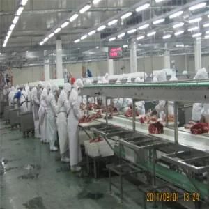 Full Complete Sheep Slaughtering Equipment for Sheep Slaughterhouse Turnkey Project