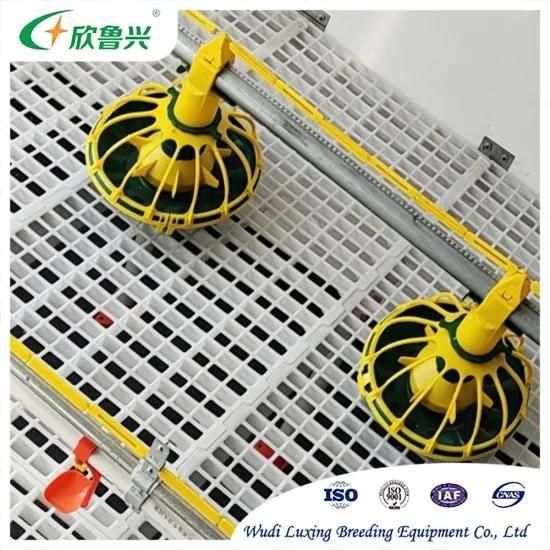 Poultry Equipment Floor Raising System with Automatic Feeding System for Sale