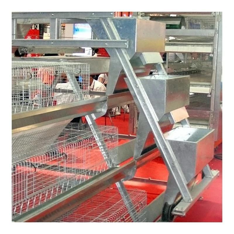 Automatic Poultry Farm Equipment with Good Price Broiler Chicken Cage