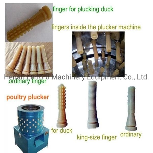 Stainless Steel Poultry Feather Remove Machine Chicken Plucker for 5 Chickens One Time