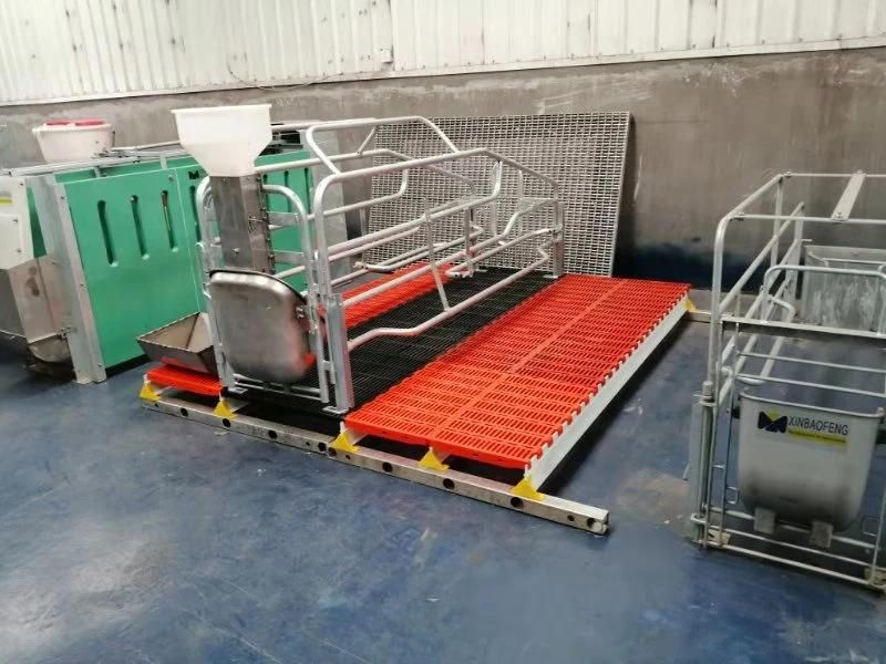 Farming Equipment Pig Sow Farrowing Pen Crate Gestation Box for Sale