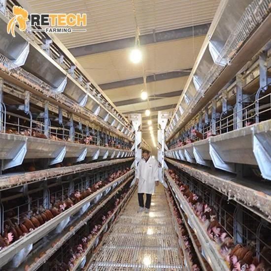 complete Automatic Layer Raising Equipment for the Philippines poultry farm