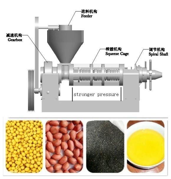 High Yield Oil Expeller/Grain Processing Machinery Oil Presser/Oil Press Machine (YZYX168)