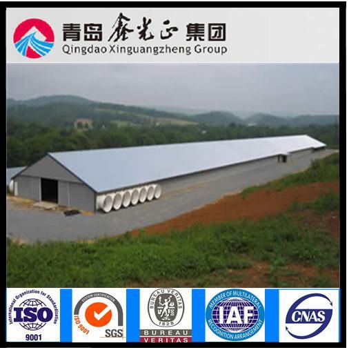 Easy Management Prefabricated Chicken House (PCH-19)