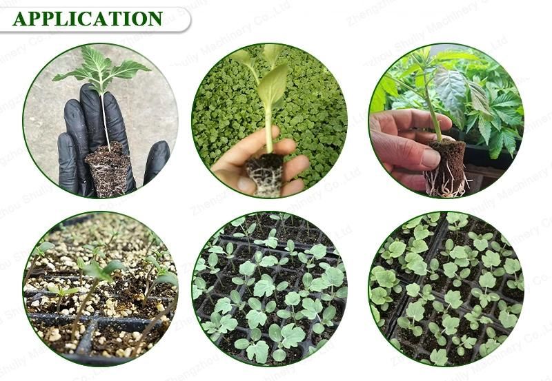 Multifunctional Precision Electric and Pneumatic Vegetable Seeder Planter Machine
