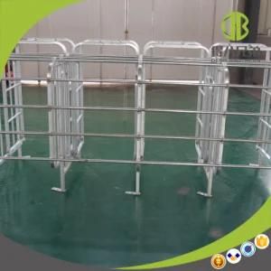 Professional Manufacturing High Quality Steel Tube Steel Pig Gestation Stall
