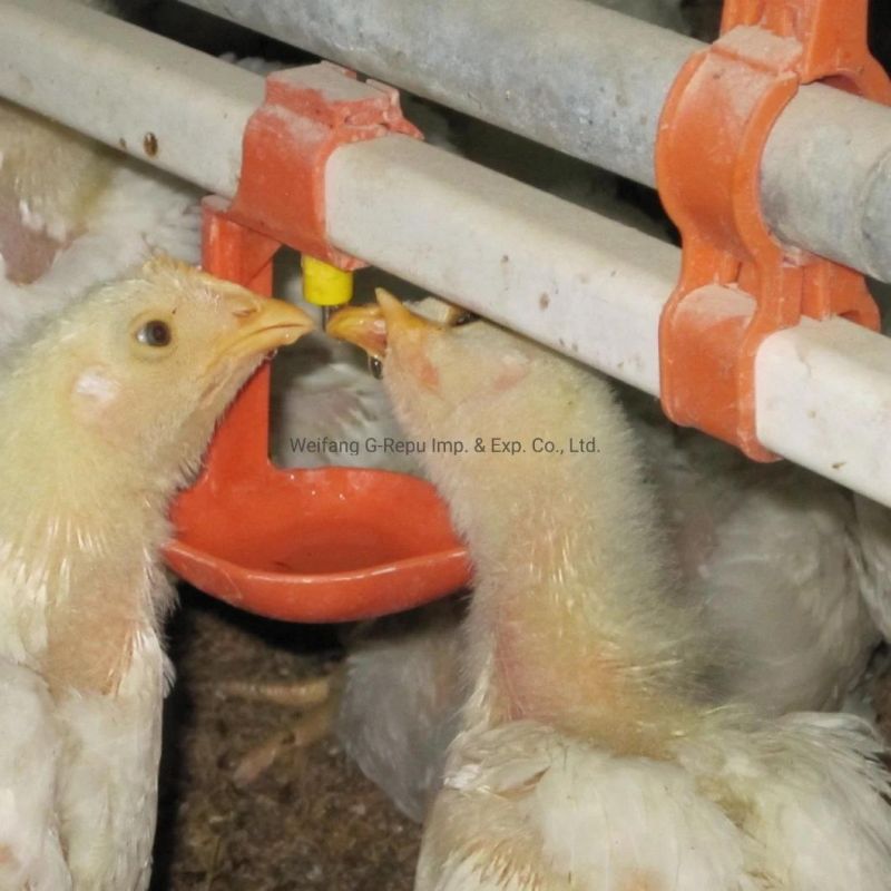Automatic Modern Double Seal Nipple Drinking System for Broiler Chicken