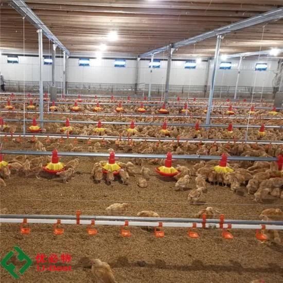 Automatic Chicken Broiler Farm Poultry Equipment for Sale