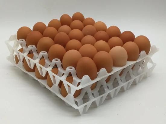 30 Holes Plastic Egg Tray for Egg Transporting