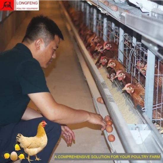 Longfeng Complete Control Poultry Shed Farm H Type Chicken Layer Cage