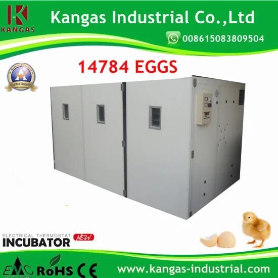 Newest 14784 Chicken Eggs Household Egg Machine Automatic Poulty Egg Incubators Price ...