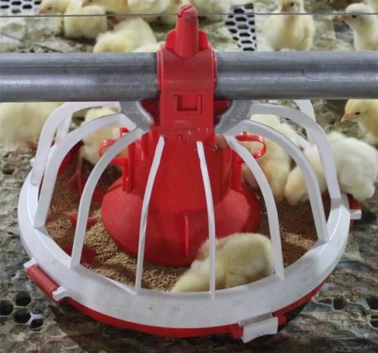 Automatic Poultry Pan Feeder for Chicken