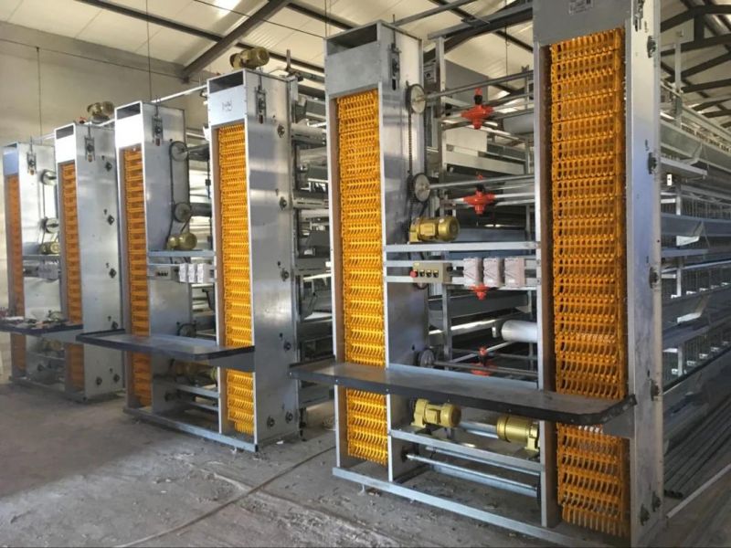 Layer Cage of Poultry Equipment