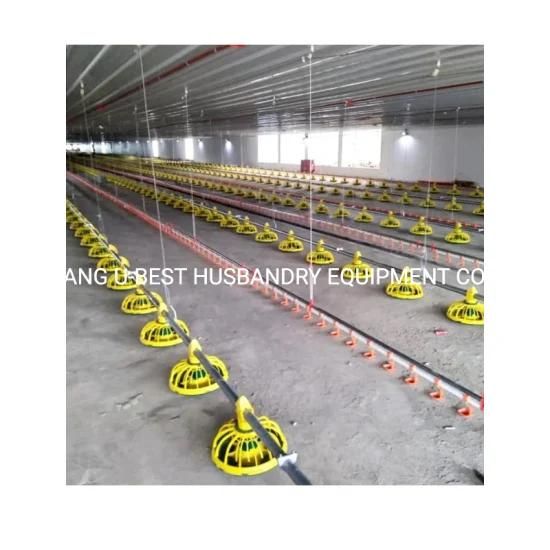 Easy Installation Steel Structure Broiler Poultry Farm Design in India with Cheap Price
