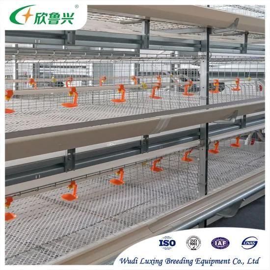 Manufacture Automatic H Type Cage 4 Tier Battery Broiler Cages for Large-Scale Chicken ...