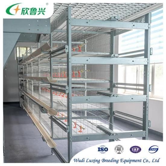 H Type Battery Cage for Poultry Layers / Automatic Chicken Laying Egg Cages / Brooder ...