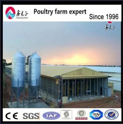 Farm Ground Raising Chicken Equipment for Broiler