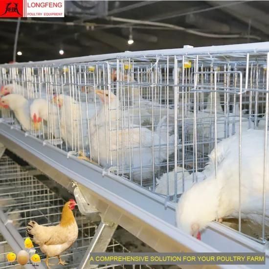 Longfeng High Density Stable Running Good Price Poultry Farm Equipment