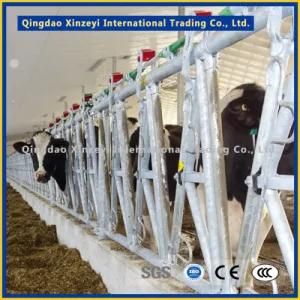 Headlock Type Cattle Livestock Panel with High Strength