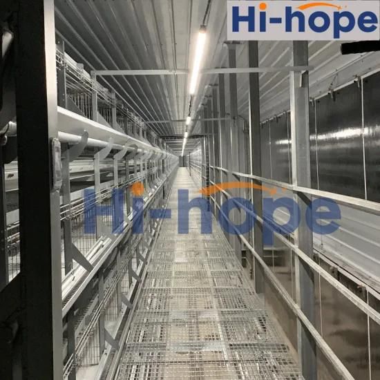 Hot Selling Africa Chicken Cage for Sale Automatic Chicken Layer Cage for Sale in ...