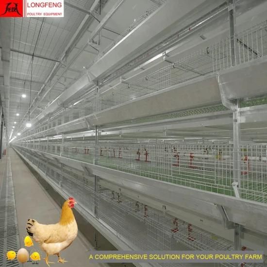 Low Egg Broken Rate Professional Poultry Farm Equipment Valid for 15-20 Years