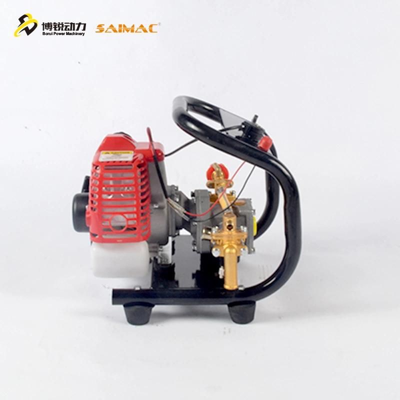Gasoline Power Sprayer with High Pressure Piston Pump