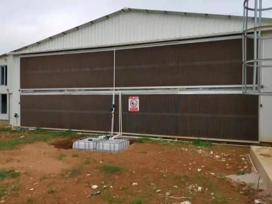 Best Combination Poultry Pad Cooling System for Chicken Farm