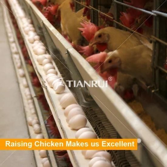 Automatic Chicken Battery Layer Cage for sale