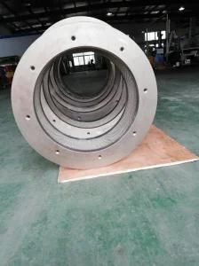 Stainless Steel X46cr13 Poultry Feed Mill Ring Dies