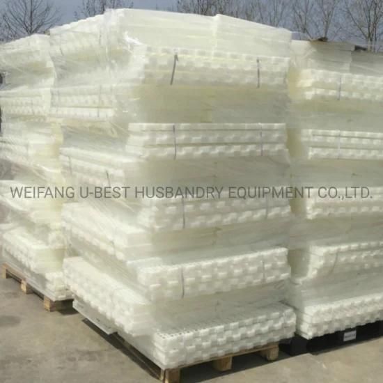 Factory Price Pure PP Slated Poultry Floors for Chicken
