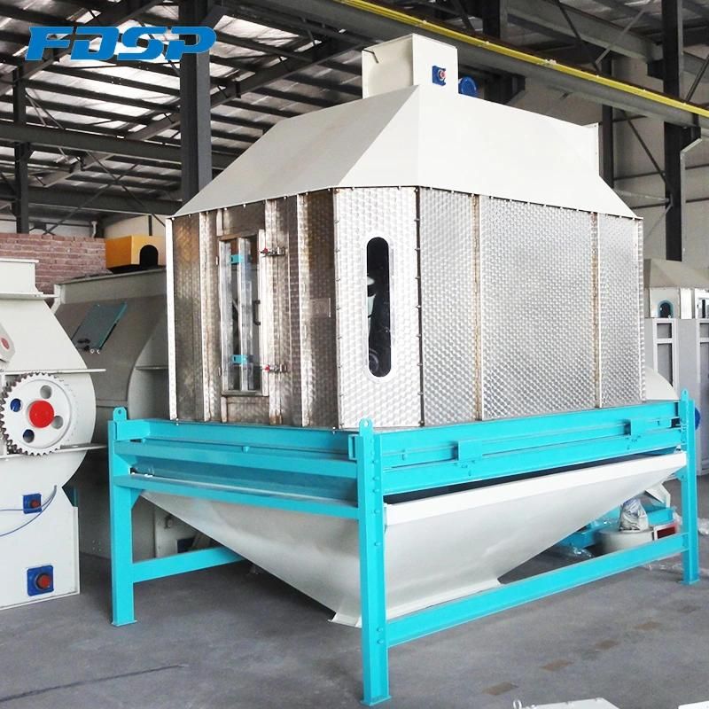 Double Conditioner Pellet Mill for Fish Feed High Grade Feed Producer